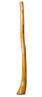 Gloss Finish Bell Didgeridoo (TW1106)